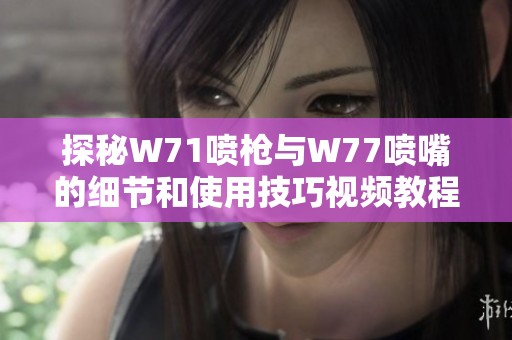 探秘W71喷枪与W77喷嘴的细节和使用技巧视频教程