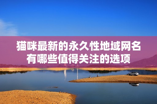 猫咪最新的永久性地域网名有哪些值得关注的选项