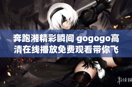 奔跑湘精彩瞬间 gogogo高清在线播放免费观看带你飞驰体验