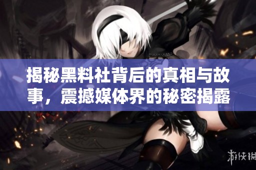揭秘黑料社背后的真相与故事，震撼媒体界的秘密揭露