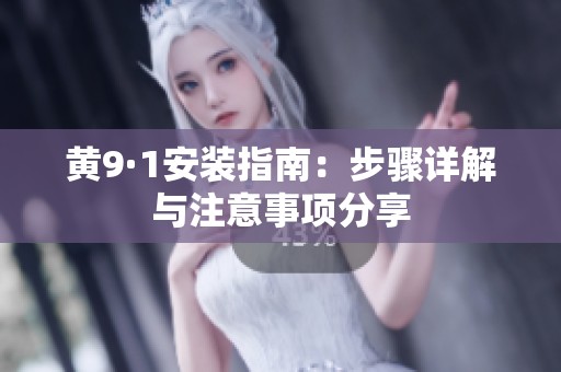 黄9·1安装指南：步骤详解与注意事项分享