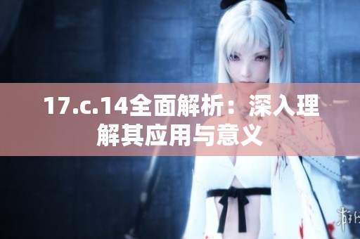 17.c.14全面解析：深入理解其应用与意义