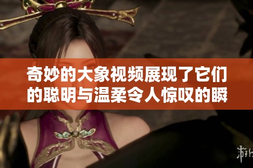 奇妙的大象视频展现了它们的聪明与温柔令人惊叹的瞬间