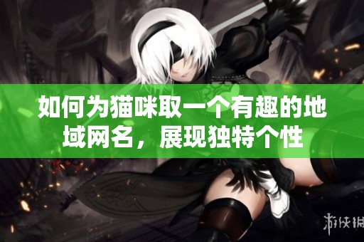 如何为猫咪取一个有趣的地域网名，展现独特个性