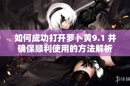 如何成功打开萝卜黄9.1 并确保顺利使用的方法解析