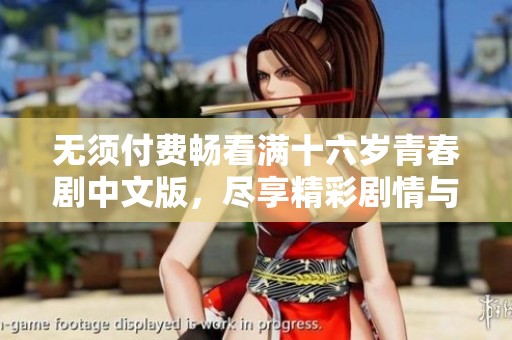 无须付费畅看满十六岁青春剧中文版，尽享精彩剧情与角色发展