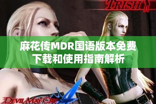 麻花传MDR国语版本免费下载和使用指南解析