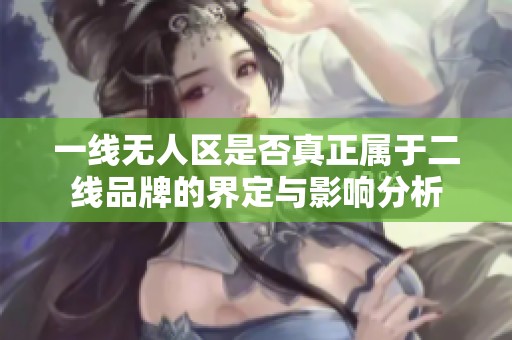 一线无人区是否真正属于二线品牌的界定与影响分析