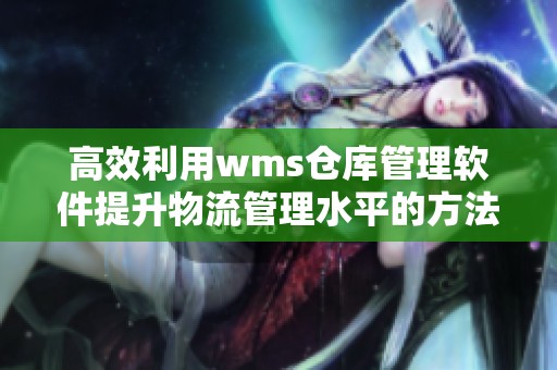 高效利用wms仓库管理软件提升物流管理水平的方法探讨