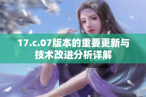 17.c.07版本的重要更新与技术改进分析详解