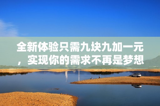 全新体验只需九块九加一元，实现你的需求不再是梦想
