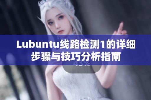 Lubuntu线路检测1的详细步骤与技巧分析指南