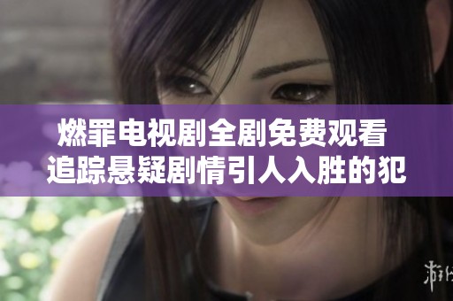 燃罪电视剧全剧免费观看 追踪悬疑剧情引人入胜的犯罪之旅