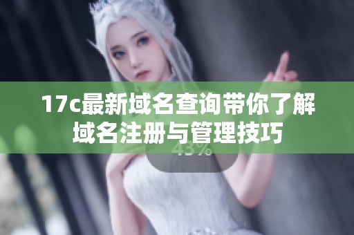 17c最新域名查询带你了解域名注册与管理技巧