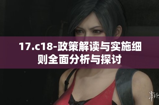 17.c18-政策解读与实施细则全面分析与探讨