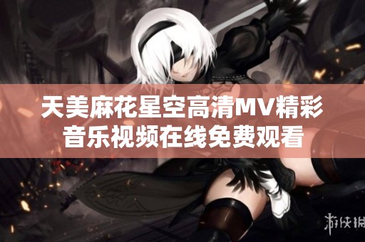 天美麻花星空高清MV精彩音乐视频在线免费观看