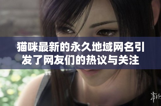 猫咪最新的永久地域网名引发了网友们的热议与关注