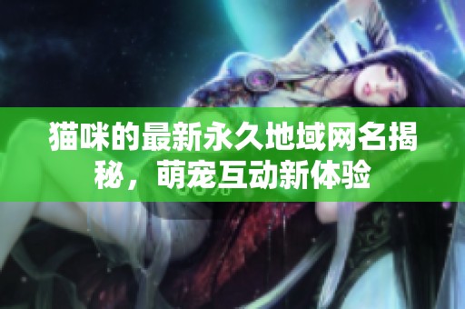 猫咪的最新永久地域网名揭秘，萌宠互动新体验