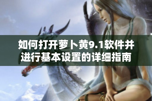 如何打开萝卜黄9.1软件并进行基本设置的详细指南