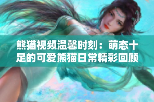 熊猫视频温馨时刻：萌态十足的可爱熊猫日常精彩回顾