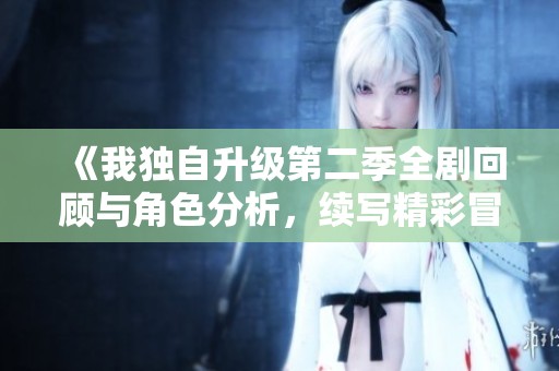 《我独自升级第二季全剧回顾与角色分析，续写精彩冒险》