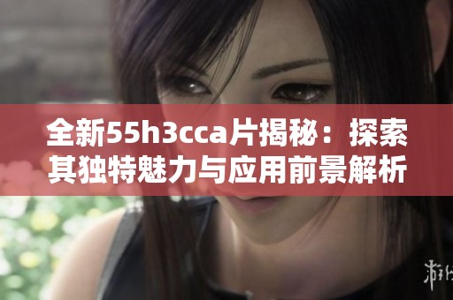 全新55h3cca片揭秘：探索其独特魅力与应用前景解析