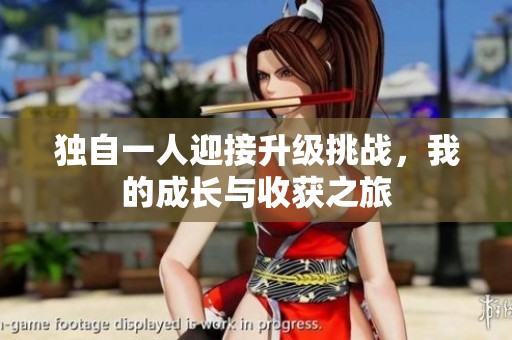 独自一人迎接升级挑战，我的成长与收获之旅