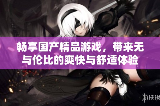 畅享国产精品游戏，带来无与伦比的爽快与舒适体验